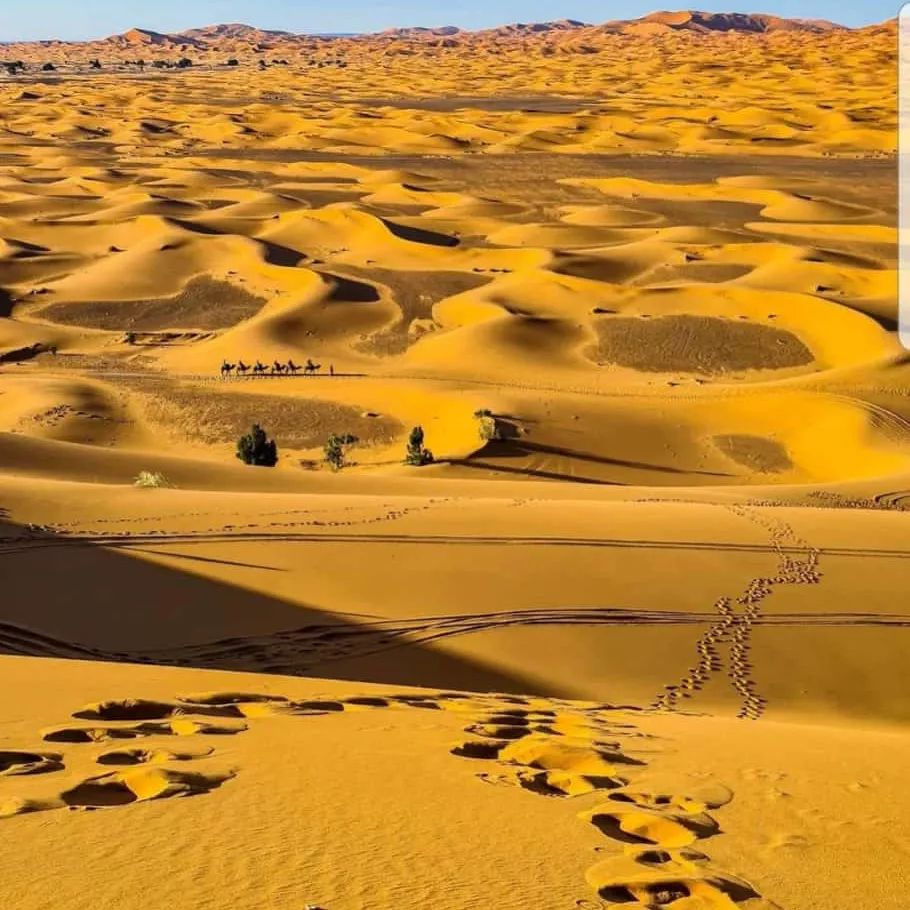 desert trip from marrakech to merzouga