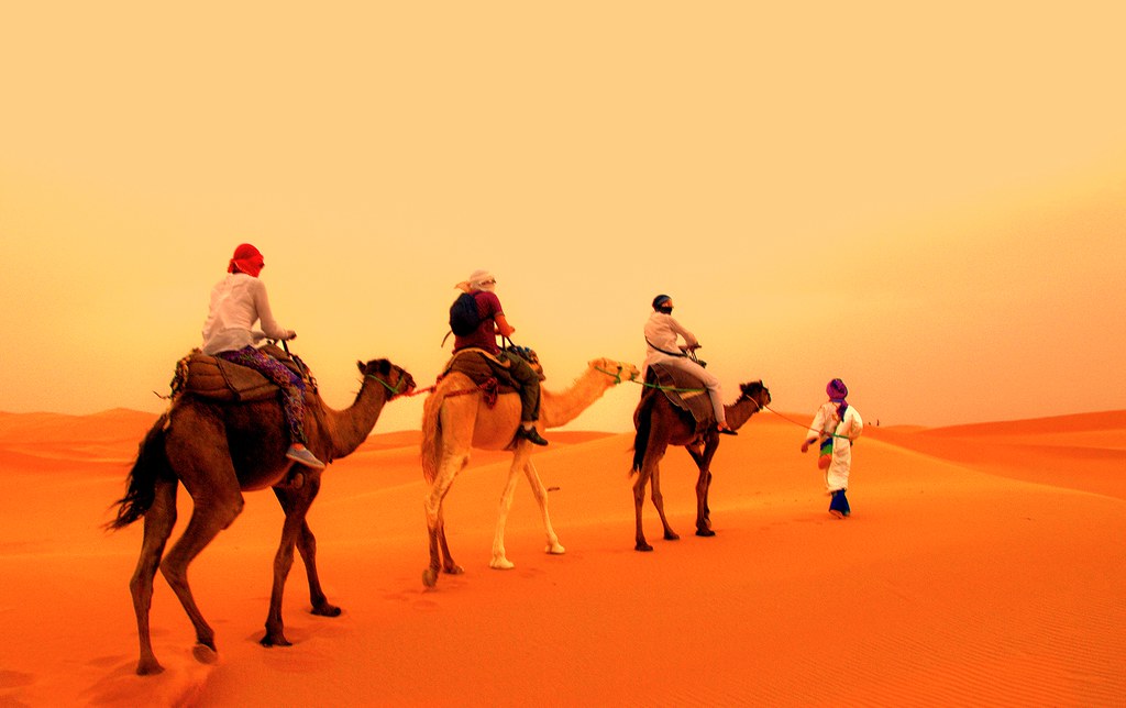 Camel trek to sahara desert camp