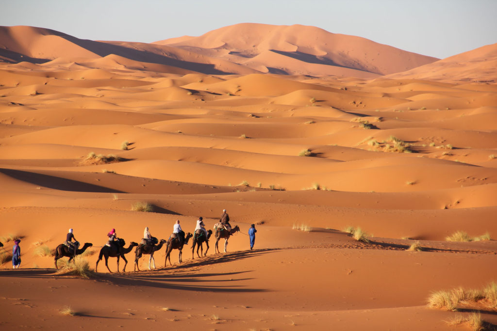 Camel excursion to Sahara desert camp