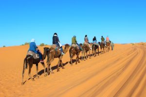 tours in Morocco