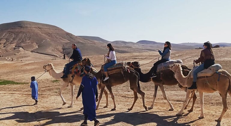 Camel ride tour in Agafay Desert day tour