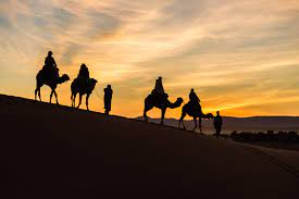 Camel Ride and Sunset in the sahara desert