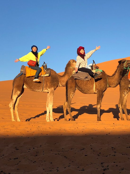camel ride to sahara desert camp