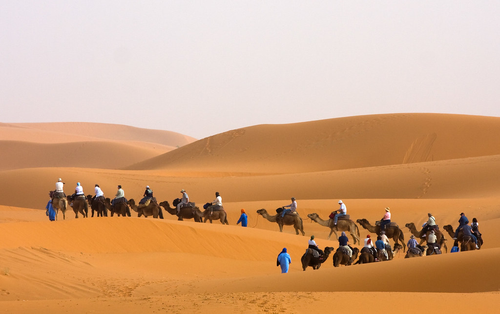 Camel trekking in Erg Chebbi Desert