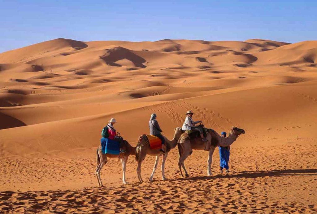 camel trek to sahara desert camp