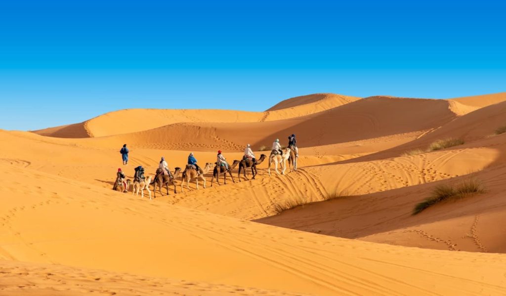best sahara desert tours