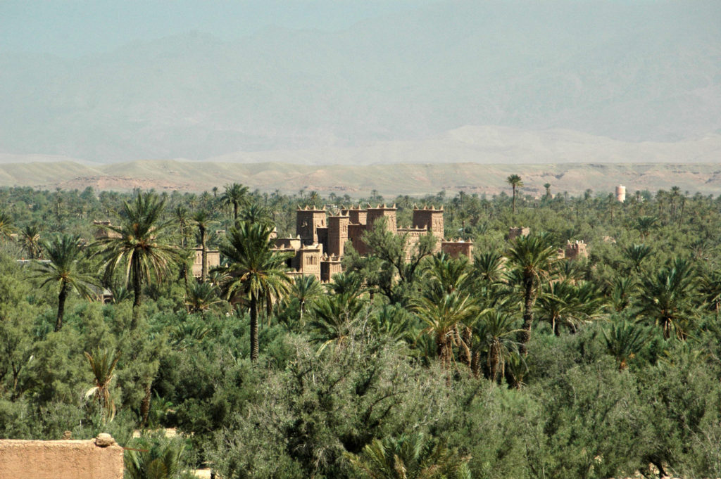 Amridil kasbah in the Heart of Skoura Oasis palm groves