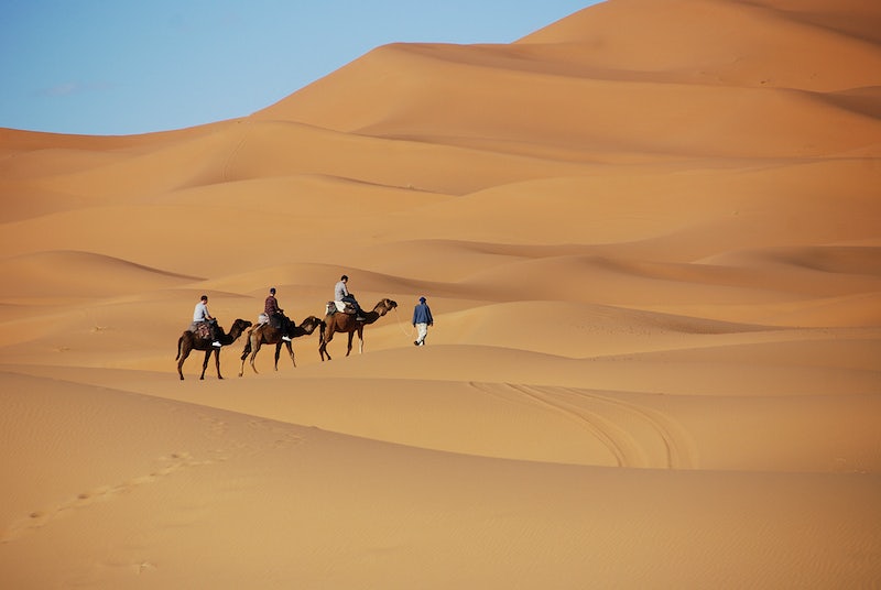 shared tour fes to Marrakech via sahara desert camel trekking