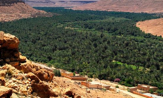 Ziz valley morocco