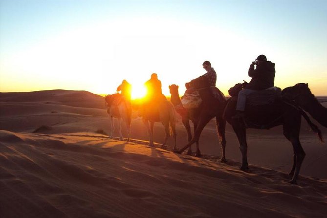 camel ride in merzouga desert