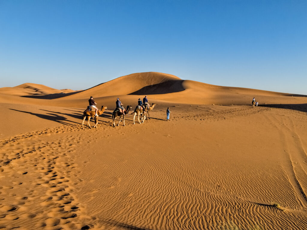 camel trekking in Erg Chigaga dunes